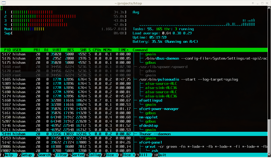 htop showing CPU and memory meters above the running-program list